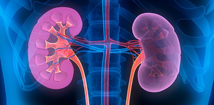 Kidney and Nephrology
